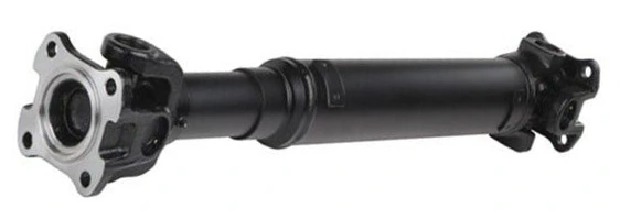 LIZARTE PS0057