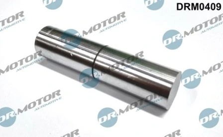 LIZARTE DRM0409