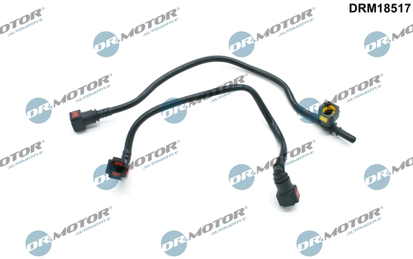 LIZARTE DRM18517
