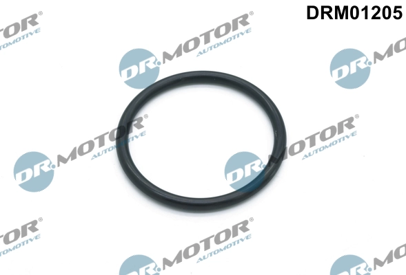 LIZARTE DRM01205