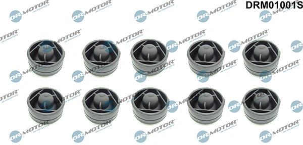 LIZARTE DRM01001S