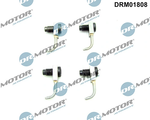LIZARTE DRM01808