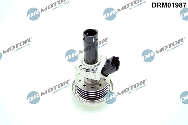 LIZARTE DRM01987