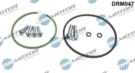 LIZARTE DRM047