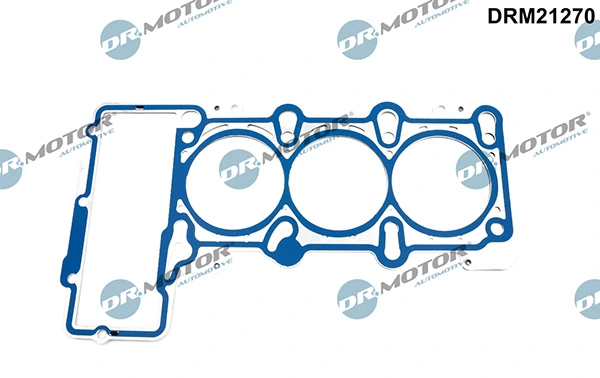 LIZARTE DRM21270