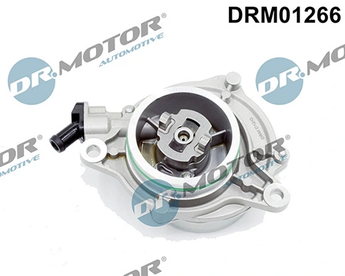 LIZARTE DRM01266