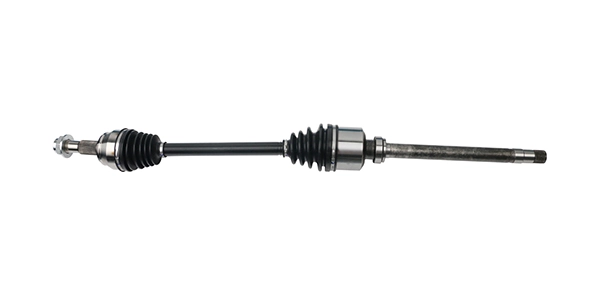 LIZARTE DS1051