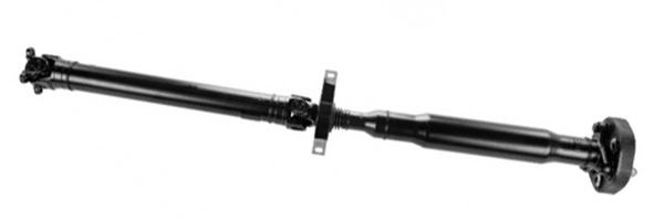 LIZARTE PS0031