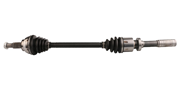 LIZARTE DS0708