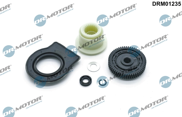 LIZARTE DRM01235