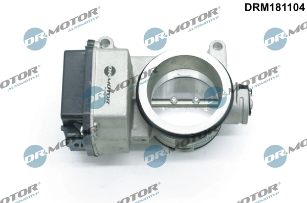 LIZARTE DRM181104