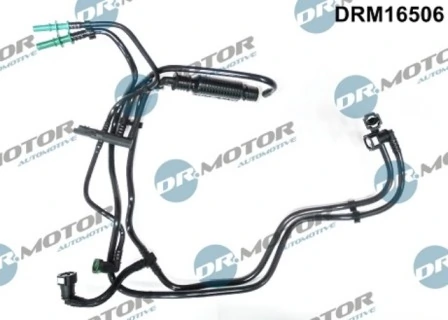 LIZARTE DRM16506