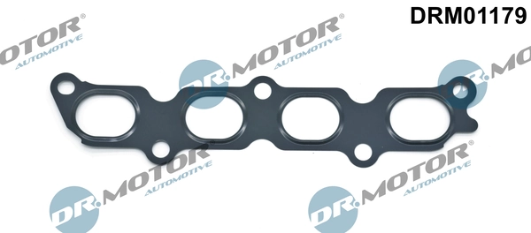 LIZARTE DRM01179