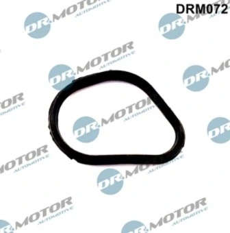 LIZARTE DRM072