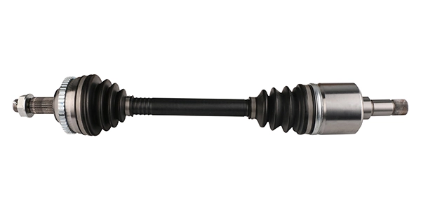 LIZARTE DS0217