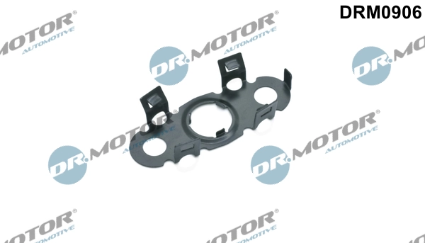 LIZARTE DRM0906