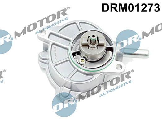 LIZARTE DRM01273