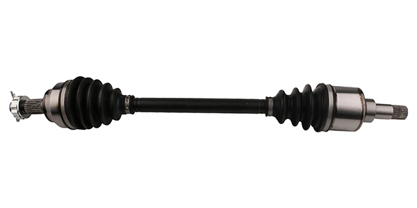 LIZARTE DS0586