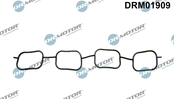 LIZARTE DRM01909