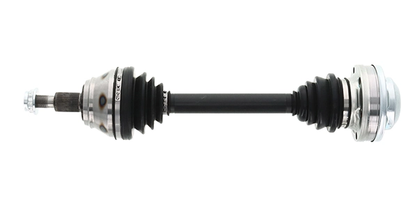 LIZARTE DS0089