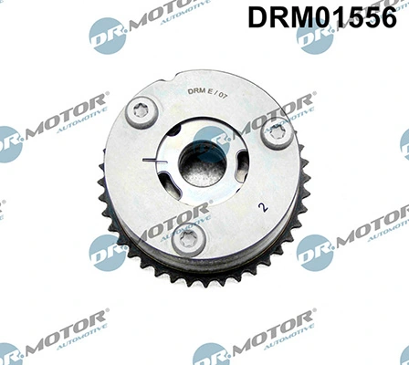 LIZARTE DRM01556