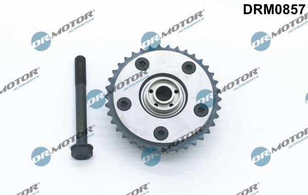 LIZARTE DRM0857