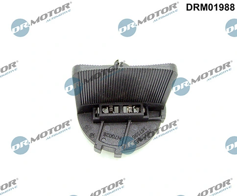 LIZARTE DRM01988