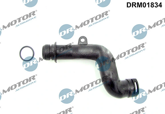 LIZARTE DRM01834