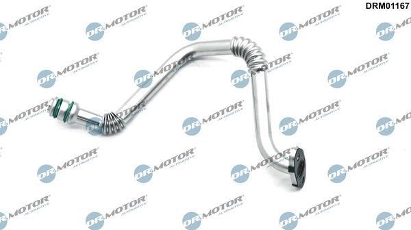 LIZARTE DRM01167