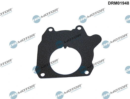 LIZARTE DRM01948