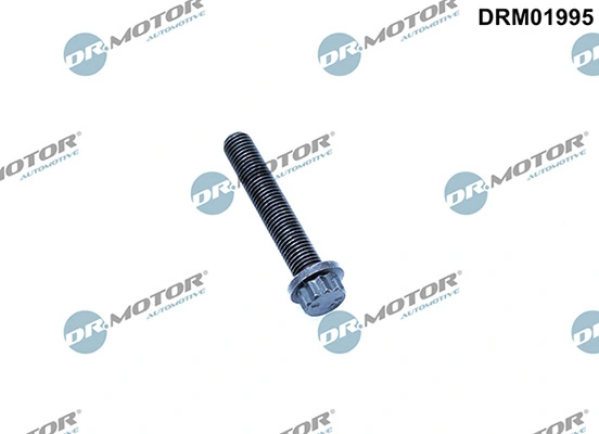 LIZARTE DRM01995