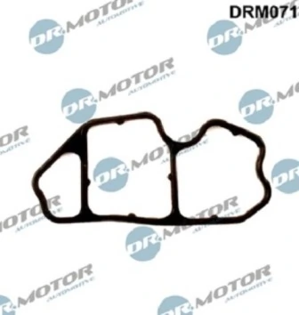 LIZARTE DRM071