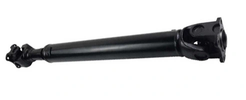 LIZARTE PS0009