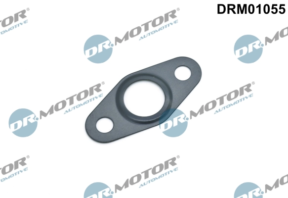 LIZARTE DRM01055