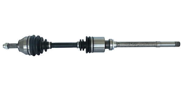 LIZARTE DS0243