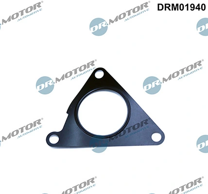LIZARTE DRM01940