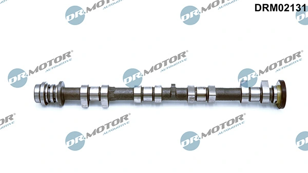 LIZARTE DRM02131
