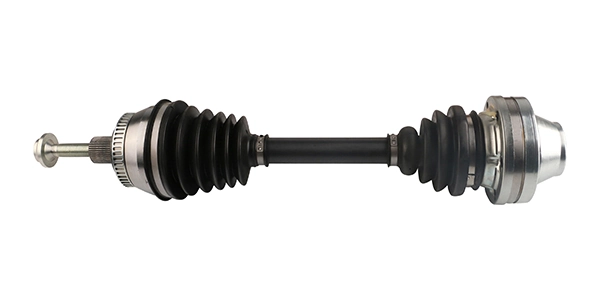 LIZARTE DS0369