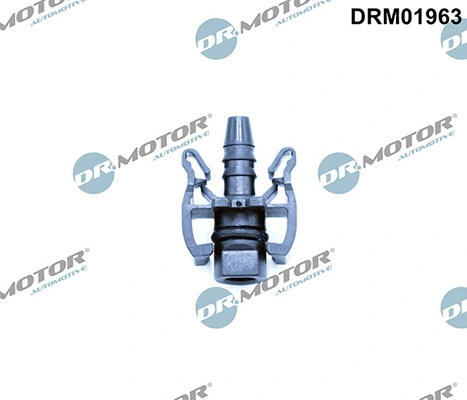 LIZARTE DRM01963