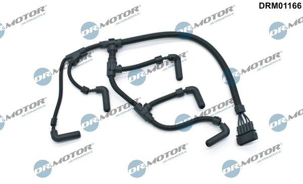 LIZARTE DRM01166