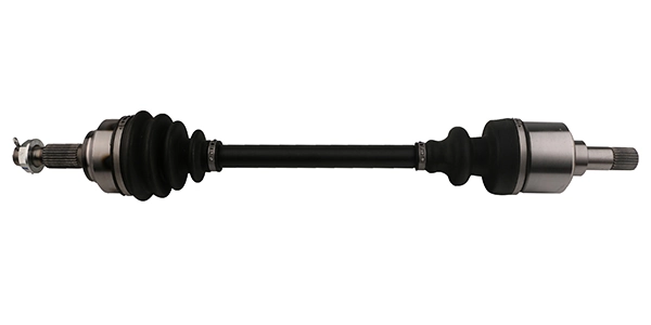 LIZARTE DS0616