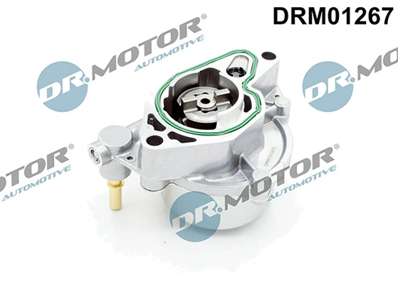 LIZARTE DRM01267