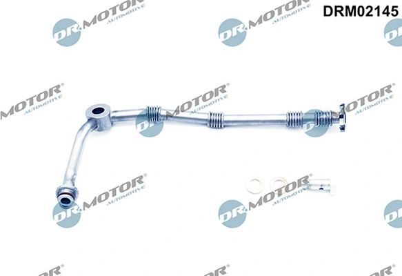 LIZARTE DRM02145
