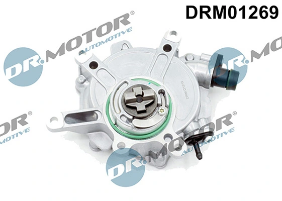 LIZARTE DRM01269