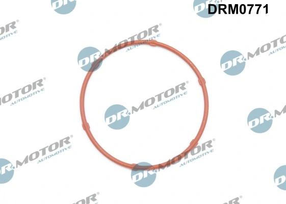 LIZARTE DRM0771