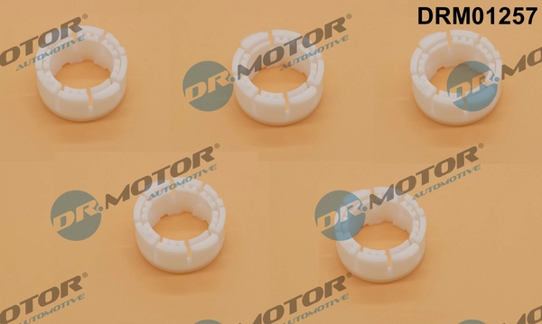 LIZARTE DRM01257