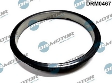 LIZARTE DRM0467