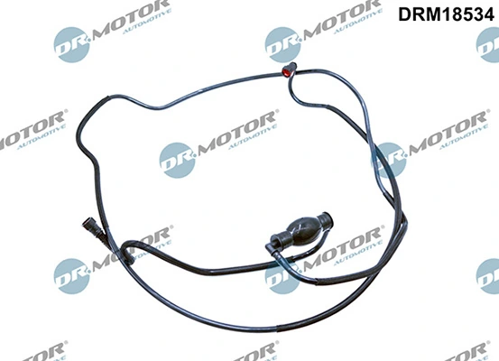 LIZARTE DRM18534