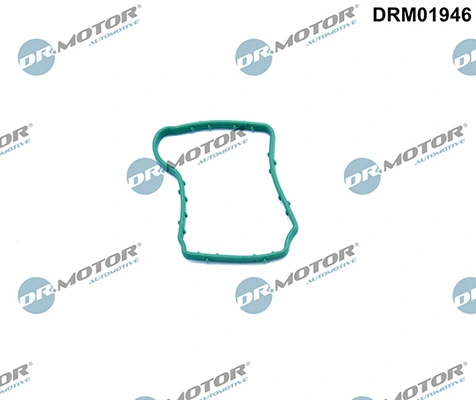 LIZARTE DRM01946