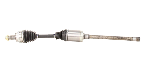 LIZARTE DS1330